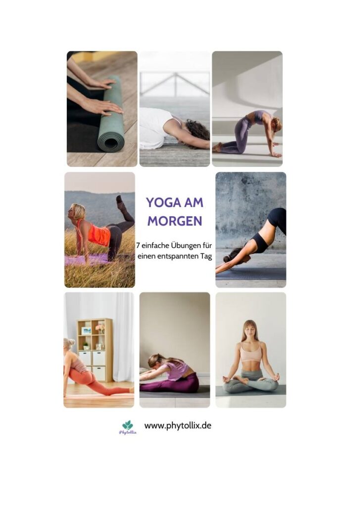 Grafik mit 7 Yoga am Morgen Übungen für mehr Energie und Achtsamkeit – inklusive Kindhaltung, Katze-Kuh, Tiger, herabschauender Hund, Low Lunge, Vorbeuge und Meditation.