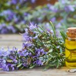 Rosmarinöl Haare selber machen – 3 ganz einfache DIY-Rezepte