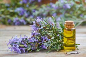Mehr über den Artikel erfahren Rosmarinöl Haare selber machen – 3 ganz einfache DIY-Rezepte